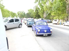P1070504 P1070504