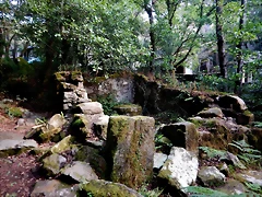 DSCN8421