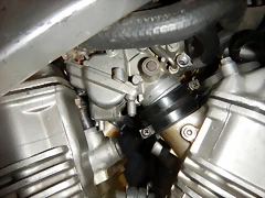 DSCN2443 DSCN2443
