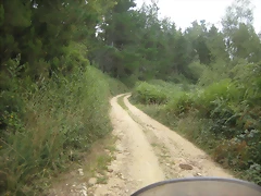 IMG_0448 IMG_0448