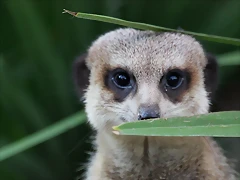 Zoo Barcelona 29-11-11 024