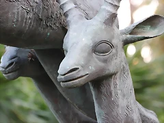 Zoo Barcelona 29-11-11 210