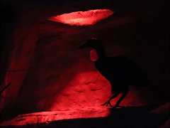 Zoo de Barcelona 15-11-11 379