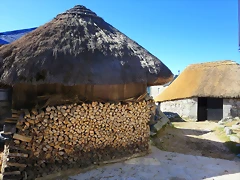 IMG_8080 IMG_8080