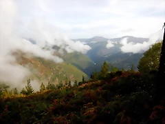 DSCN0096 DSCN0096