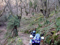 DSCN6119 DSCN6119