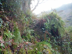 DSCN6156 DSCN6156