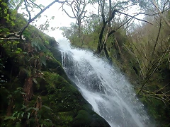 DSCN6131 DSCN6131