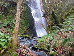 DSCN6133 DSCN6133
