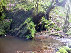 DSCN6148 DSCN6148