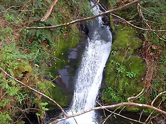 DSCN6139 DSCN6139