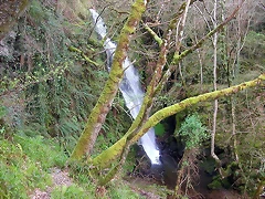 DSCN6128 DSCN6128