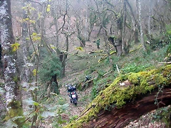 DSCN6159 DSCN6159