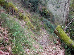 DSCN6124 DSCN6124