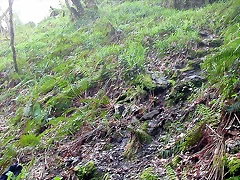 DSCN6151 DSCN6151