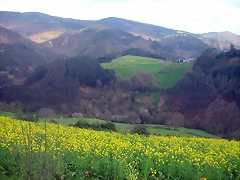 DSCN6185 DSCN6185