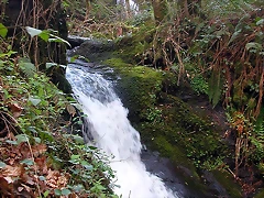 DSCN6135 DSCN6135