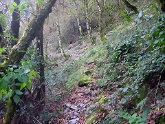 DSCN6153 DSCN6153