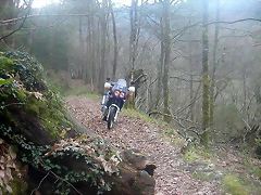 DSCN6162 DSCN6162