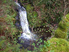 DSCN6138 DSCN6138