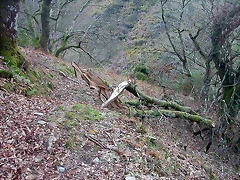 DSCN6157 DSCN6157