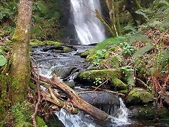 DSCN6147 DSCN6147