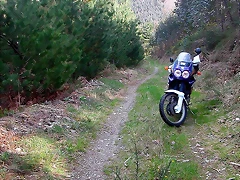 DSCN6114 DSCN6114