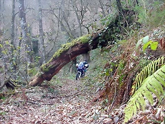 DSCN6120 DSCN6120