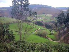 DSCN6190 DSCN6190
