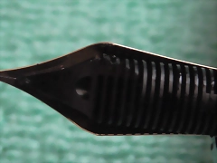 S2630005