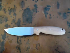 DSCF1343 DSCF1343