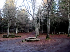 IMG_0556 IMG_0556