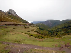 DSCN6661 DSCN6661