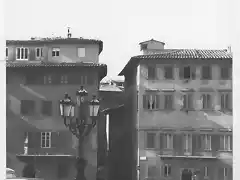 Firenze Piazza Pitti Italia