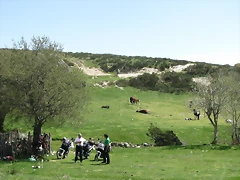 DSCN9602'2 DSCN9602'2
