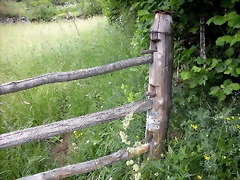 DSCN3491 DSCN3491