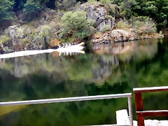 DSCN3484 DSCN3484