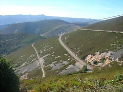 DSCN2361 DSCN2361