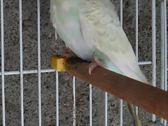 SAM_0300 SAM_0300