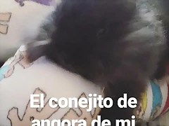 Mar?a IG Stories 27-2-2017