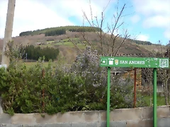 DSCN8993'1.JPEG DSCN8993'1.JPEG