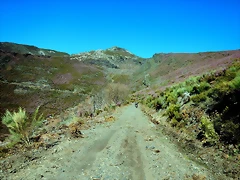DSCN9353 DSCN9353