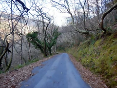 DSCN0986 DSCN0986