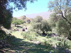 DSC08741 DSC08741