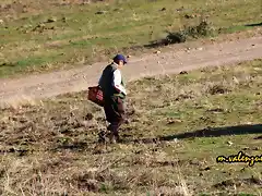 16,  juan de Dios, marca