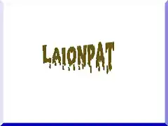 Firma laionpat