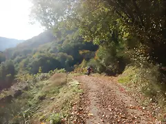 DSCN4472 DSCN4472