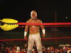 mistico