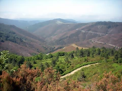 DSCN5729 DSCN5729