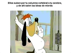 Pensamiento Pensamiento